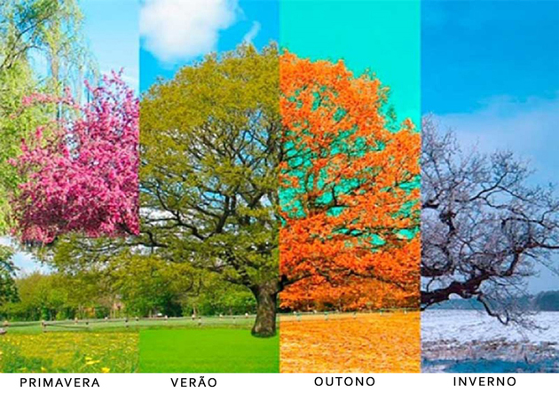 cartelas de coloração pessoal - características das estações do ano