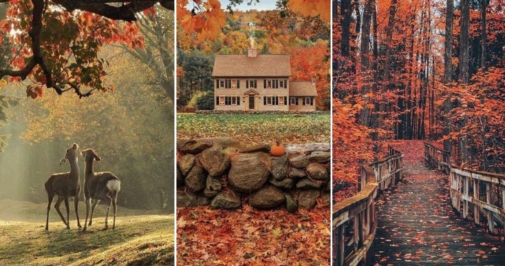 cores da natureza das cartelas de outono